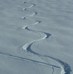 CP-Back Country | cours 1